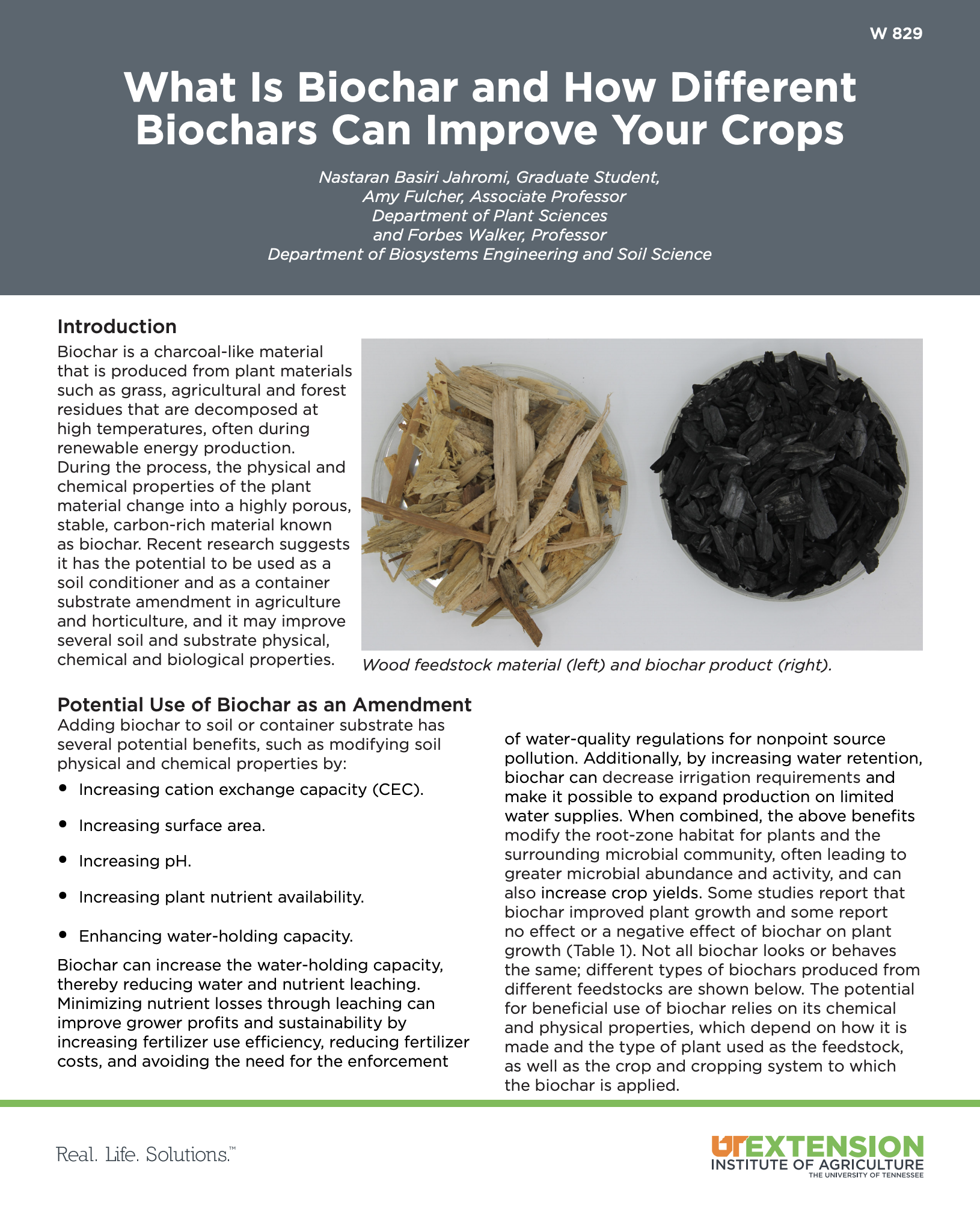 What Is Biochar And How Diferent Biochars Can Improve Your Crops Us